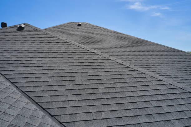 Best Roof Moss and Algae Removal  in Wanatah, IN